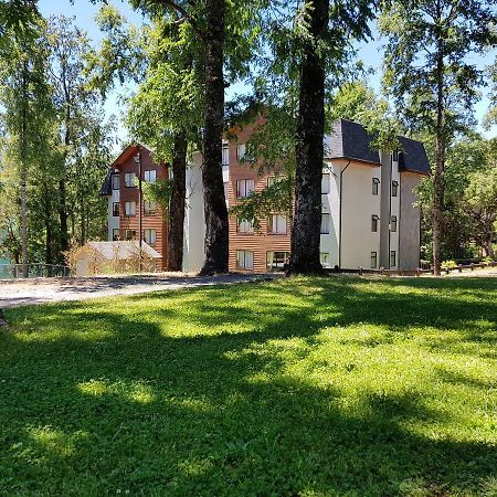 Depto Parque Suizo 800 Leilighet Pucón Eksteriør bilde