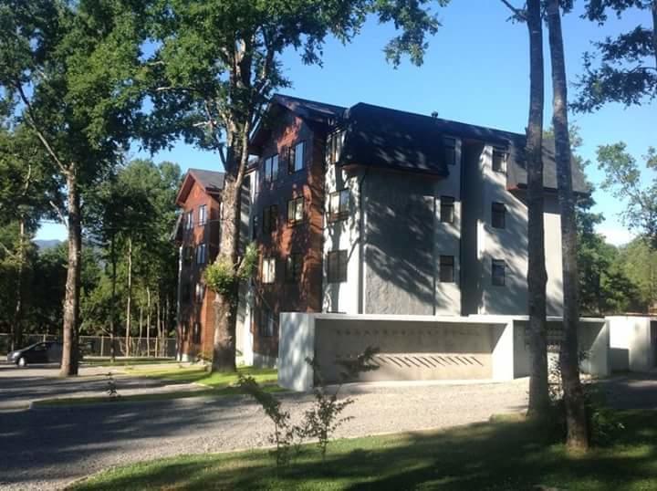 Depto Parque Suizo 800 Leilighet Pucón Eksteriør bilde