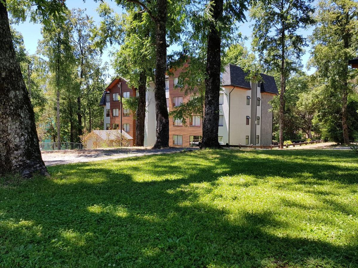 Depto Parque Suizo 800 Leilighet Pucón Eksteriør bilde